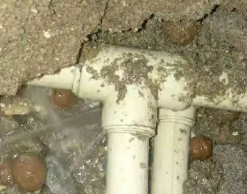 龙胜测漏水多少钱