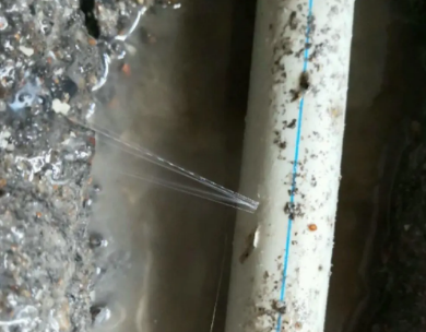 龙胜测漏水哪家好