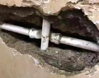 龙胜测漏水哪家好