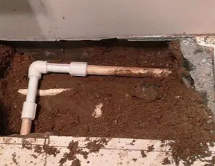 龙胜测漏水哪家好