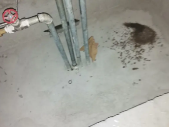 龙胜卫生间测漏水价格明细