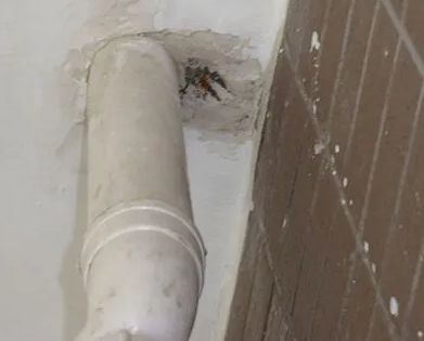 龙胜漏水检测哪家好